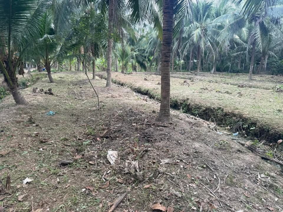 Đất nền 1100m² Tân Phú Tây giá chỉ 680 triệu - Cơ hội đầu tư tuyệt vời!