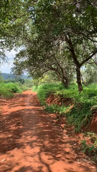 Đất nền Phước Tân 100m² giá 2.35 tỷ - Sổ đỏ chính chủ, vị trí thuận lợi!