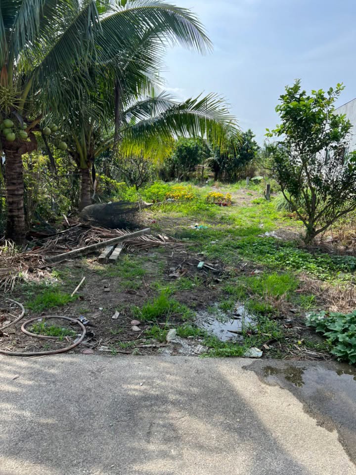 Đất thổ cư 212m² tại Diên Sơn, Diên Khánh chỉ 1.19 tỷ - Cơ hội đầu tư tuyệt vời!