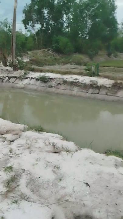 Đất trồng cây xã Tam Thăng 1000m² giá thỏa thuận - Đầu tư sinh lời tốt!