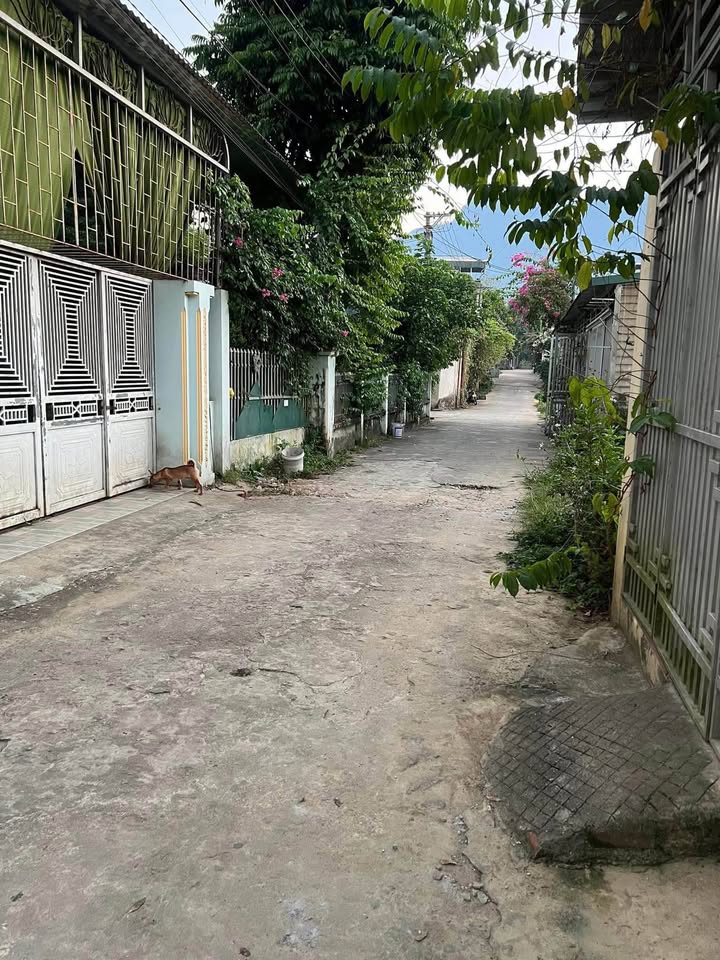 Đất nền đẹp tại Xã Ngọc Đường 244m² giá 1.25 tỷ - Đầu tư sinh lời!