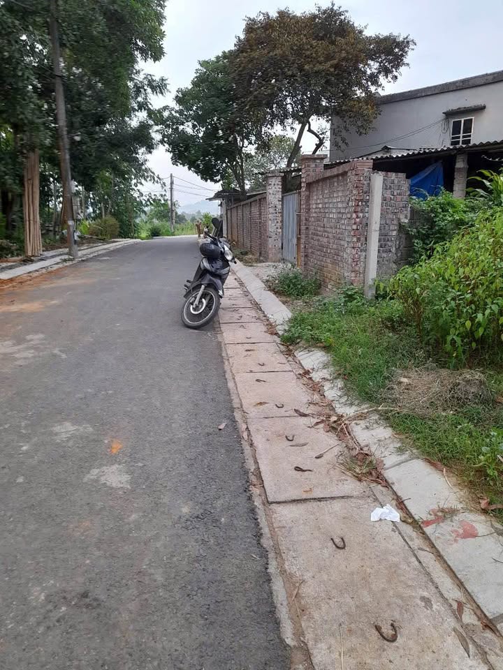 Đất thổ cư Tân Hà 132m² giá 2 tỷ - Khu dân cư đông đúc