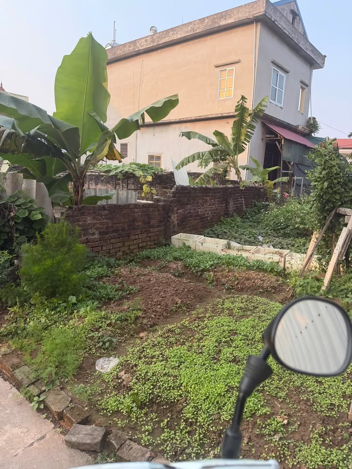 Đất nền Ninh Xá, Thanh Trì 42m² giá 3 tỷ - Tiềm năng đầu tư cực lớn!