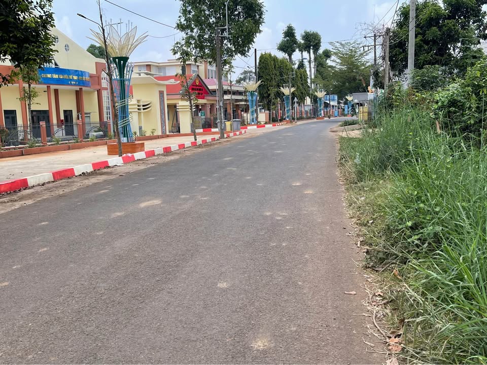 Bán gấp vườn sầu riêng 1000m² tại phường Xuân Lập, giá 1.4 tỷ - Đầu tư hấp dẫn!