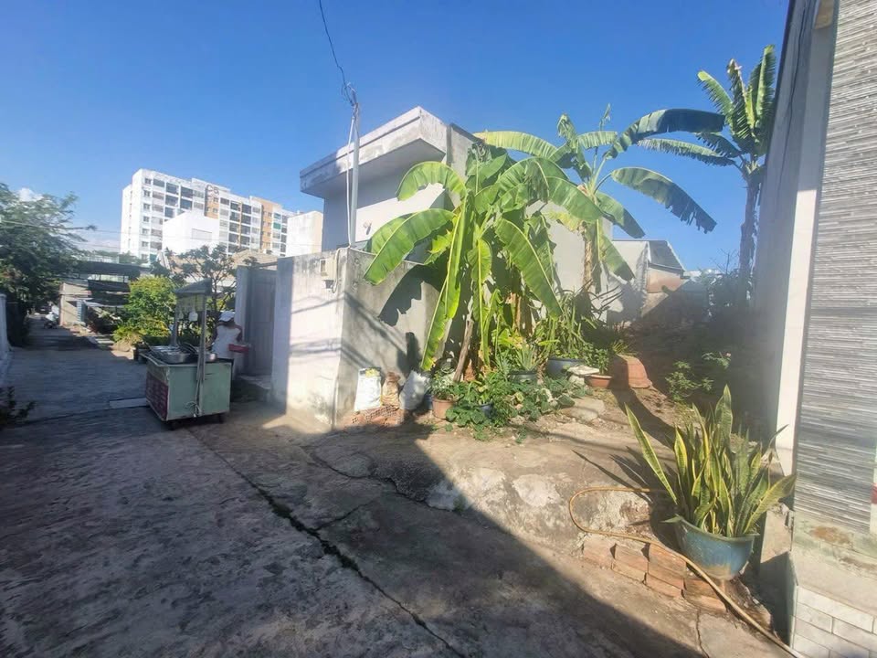 Đất Hẻm 250 Man Thiện 53.5m² giá 4.5 tỷ - Pháp lý rõ ràng, xây dựng ngay!