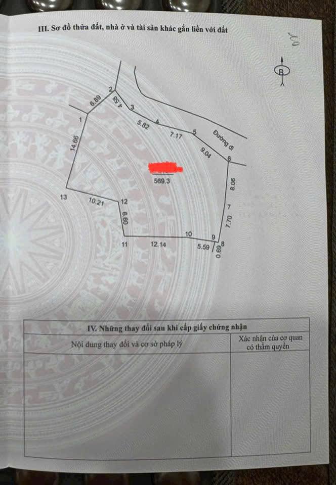 Đất nền 550m² tại Cổ Đông - Sơn Tây, chỉ 50m ra đường chính - Cơ hội đầu tư tuyệt vời!