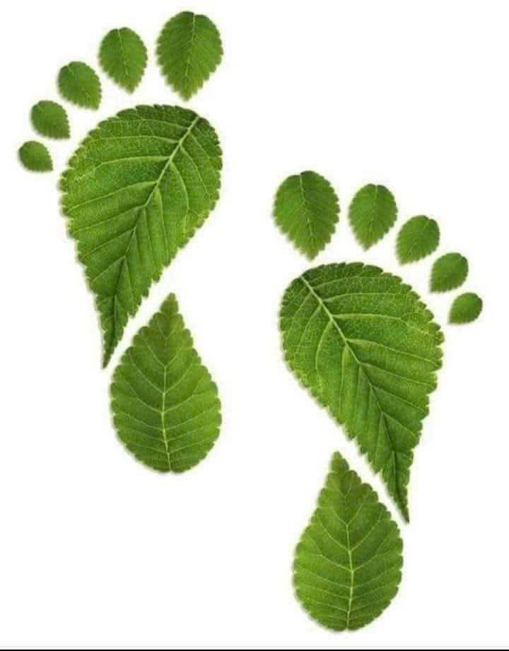 Đất nền Hẻm Hồ Xuân Hương, Phường Đoàn Kết, 555m² - Cơ hội đầu tư tuyệt vời!