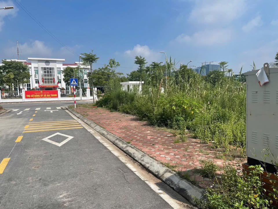 Đất bán Đường Nhựa, xã Tả Thanh Oai, 80m² giá 16 tỷ - Cơ hội đầu tư hấp dẫn!