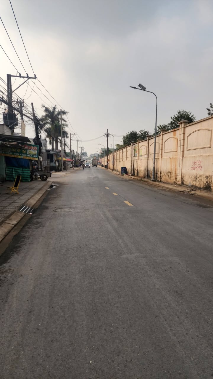 Đất nền mặt tiền đường Nhựa Thông Trần Quang Diệu 275m² giá 8 tỷ - Kinh doanh lý tưởng!