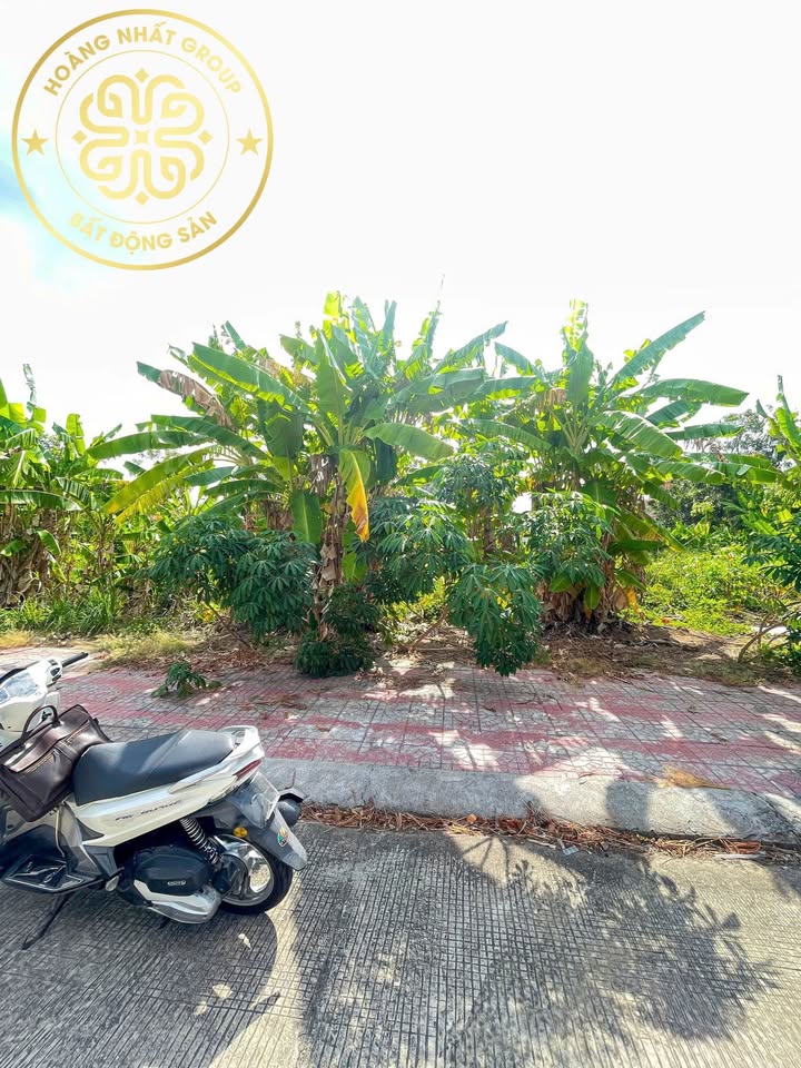 Đất nền KDC Licogi Cà Mau 93m² giá 1 tỷ - Nền đẹp, xây dựng ngay!