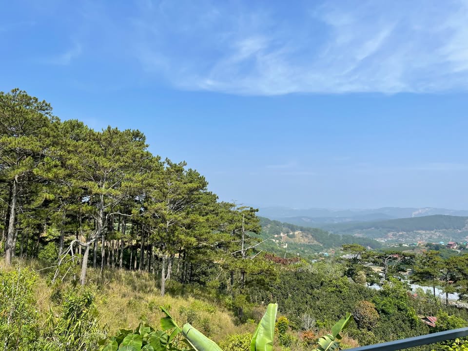 Đất nền Đỉnh Đồi Săn Mây, Xuân Trường, Đà Lạt 7500m² giá 19 tỷ - Cơ hội đầu tư tuyệt vời!