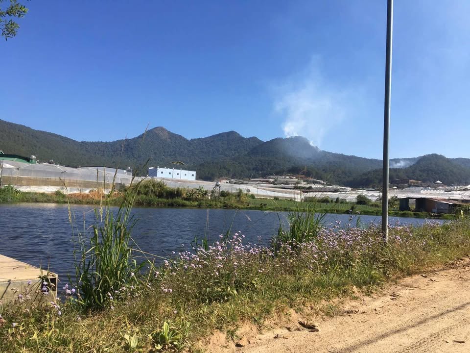 Đất thổ cư Đường Bon Dong, Phường Lang Biang, Đà Lạt - Giá chỉ 1.3 tỷ, sổ đỏ chính chủ!