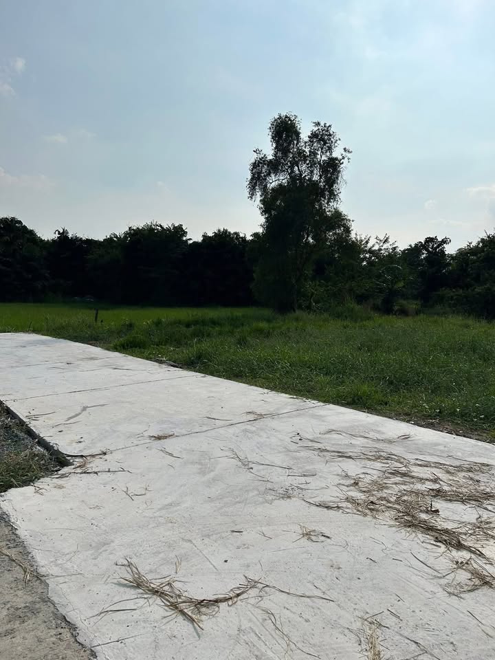 Đất thổ cư Khu Phố Hướng Thọ Phú, Tây Ninh 250m² giá 1.7 tỷ - Sổ hồng chính chủ