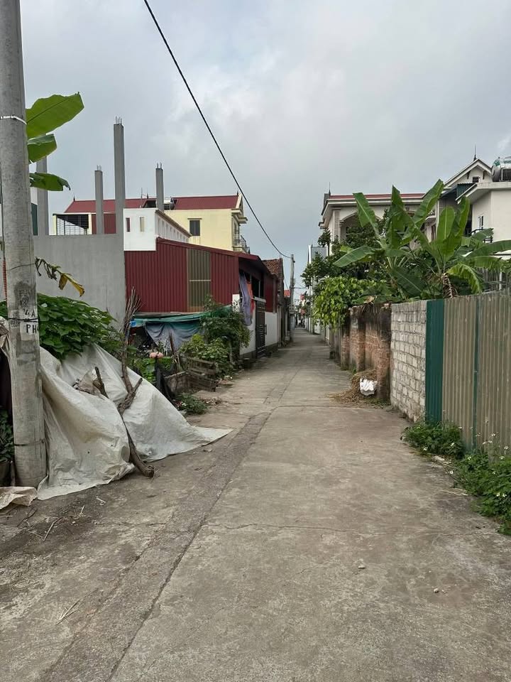 Lô đất 81m² Xã Phúc Hòa, Huyện Phúc Thọ giá 2 tỷ - Đường thông ô tô đỗ cửa