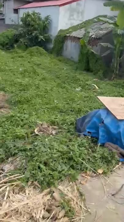 Đất nền Xóm 1, Gia Lâm, Nho Quan, Ninh Bình 240m² - Sổ đỏ chính chủ, đầu tư sinh lời!