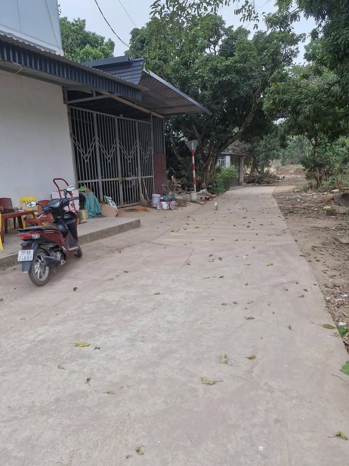 Đất nền Bắc Nam, Thái Nguyên 200m² giá 4.4 tỷ - Đường xe công vào tận nơi!