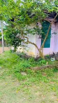 Đất vườn Đức Nhuận, Mộ Đức, Quảng Ngãi 2300m² - Giá chỉ 2 tỷ!