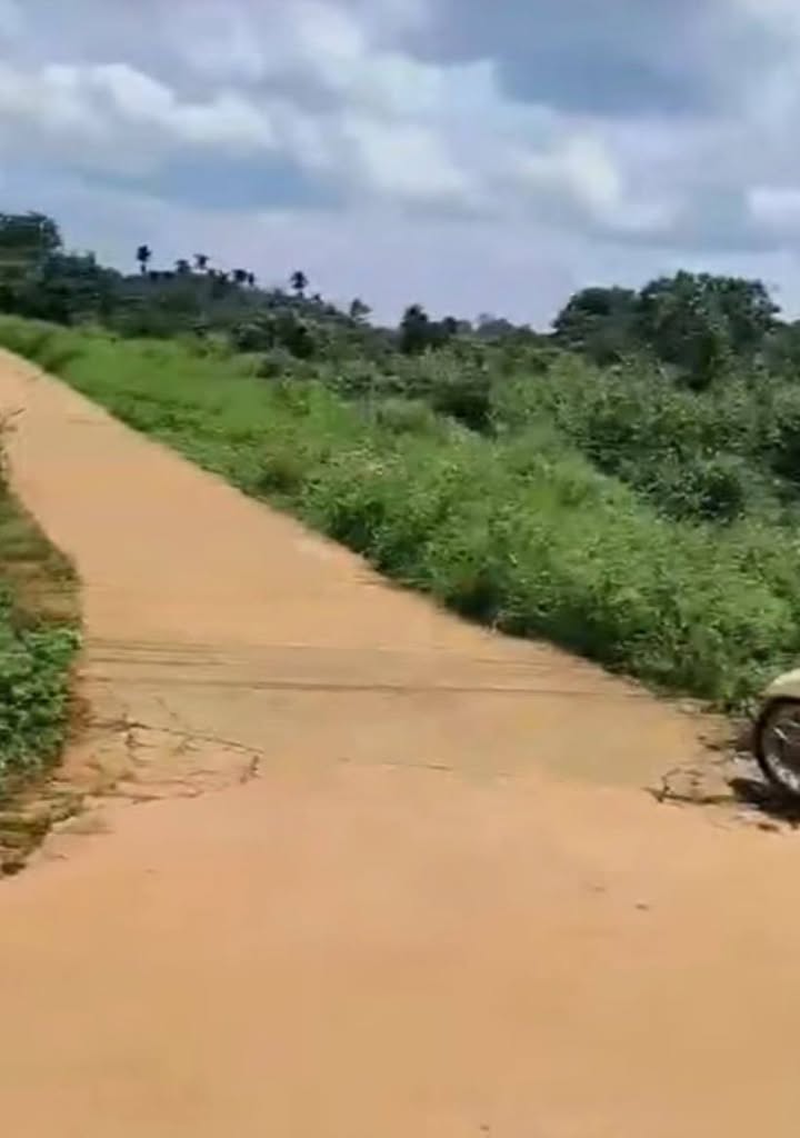 Đất nền 1140m² tại Thọ Sơn, Bù Đăng - Giá chỉ 1.197 tỷ VND, sổ hồng chính chủ!