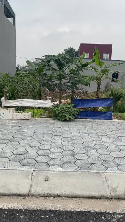 Đất nền xã Hoàng Hoa Thám 100m² giá 3.5 tỷ - Hướng Nam, tiện ích đầy đủ!