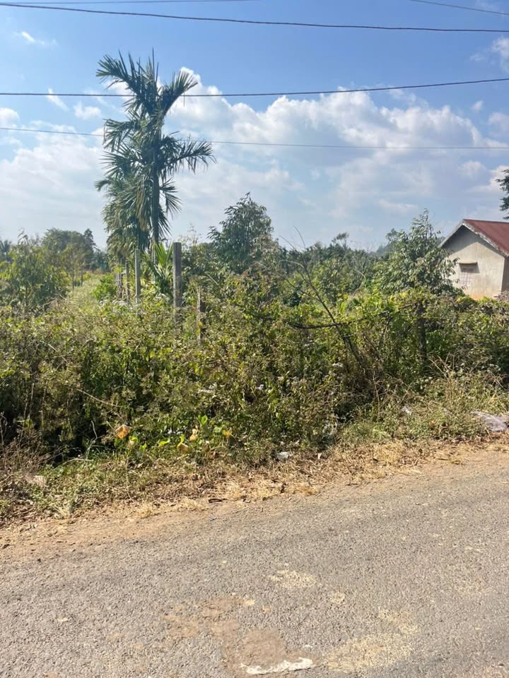 Đất nền mặt tiền đường nhựa Buôn Kram, xã Ea Tiêu, 2160m² giá 258 triệu - Cơ hội đầu tư tuyệt vời!