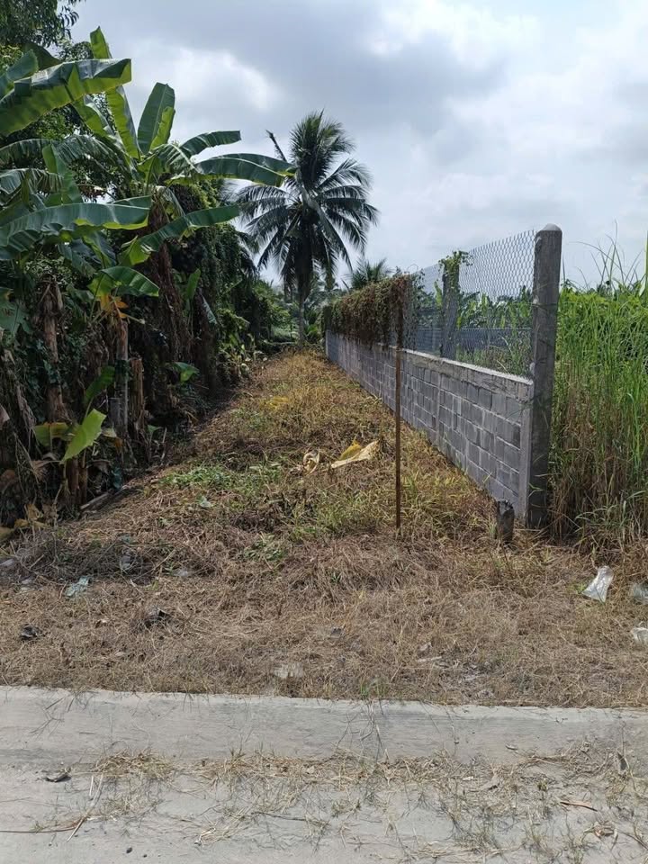 Đất nền mặt tiền Đoàn Thị Nghiệp, Mỹ Tho 142m² giá 2.2 tỷ - Đầu tư sinh lời!