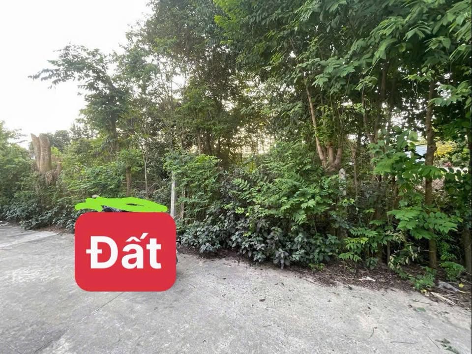 Đất nền đường Betong, phường Ninh Sơn, 150m² giá 420 triệu - Đầu tư sinh lời ngay!