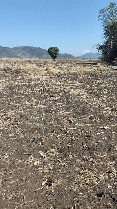 Đất nền Huyện Ea H'Leo 20,000m² giá 1.7 tỷ - Đầu tư sinh lời ngay!