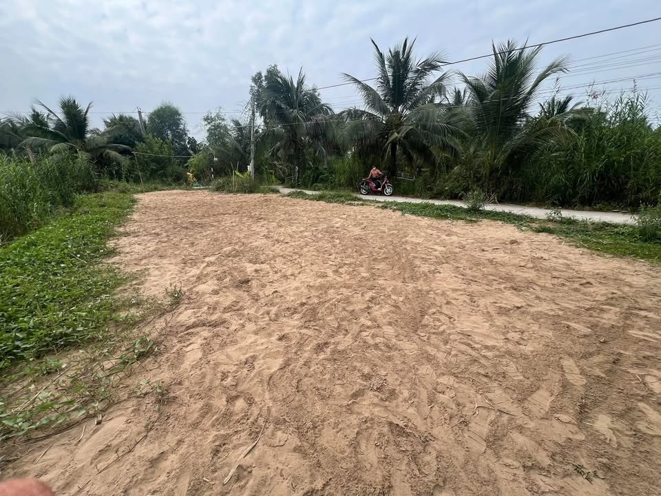 Đất nền góc 2 mặt tiền xã Tân Hội 297m² giá 600 triệu - Đầu tư sinh lời ngay!