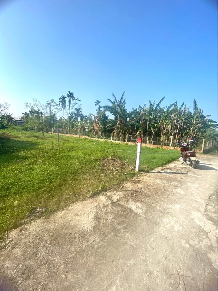 Đất nền chữ L 307,5m² tại Điện Bàn, Quảng Nam - Giá chỉ 7xx triệu, vị trí đắc địa!