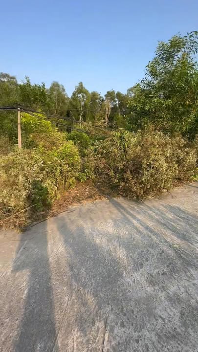 Đất mặt tiền Lộ Xóm Cây Thông, Phú Quốc 1400m² - Đầu tư hấp dẫn!