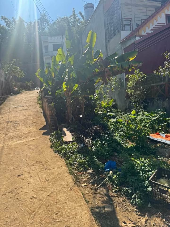 Đất nền Bản Mé Chiềng Cơi 95m² giá 900 triệu - Sẵn sàng giao dịch ngay!