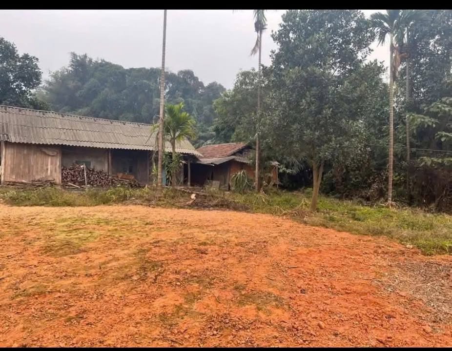 Đất thổ cư 300m² tại Xuân Giao, Bảo Thắng, Lào Cai - Giá chỉ 1 tỷ!