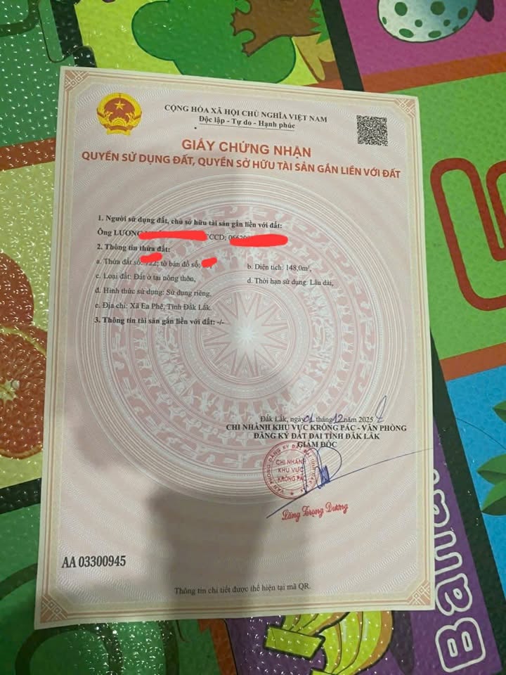 Đất nền Thị trấn Phước An 150m² giá 250 triệu - Cần bán gấp do khó khăn!