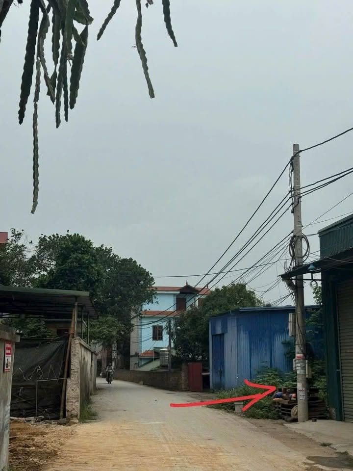 Đất nền chính chủ tại Thôn Chè, Tiên Du 79m² giá 2 tỷ - Đầu tư sinh lời!