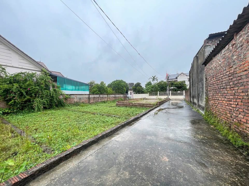 Lô đất vàng tại Vệ Sơn Đông, Tân Minh, Sóc Sơn 57,4m² chỉ 1,5 tỷ - Đầu tư sinh lời hấp dẫn!