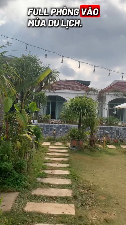 Đất nền homestay Tự Nhiên Mộc Châu 297m² giá 3 tỷ - Cơ hội đầu tư lý tưởng!