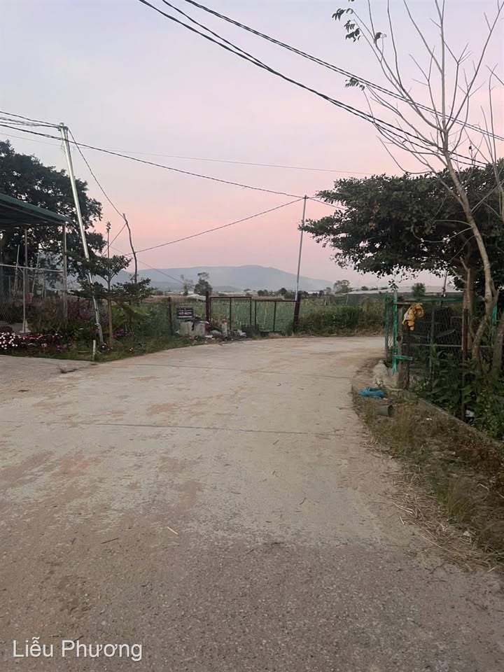 Đất thổ cư mặt tiền bê tông Quảng Lập 300m² giá 2 tỷ - Đầu tư sinh lời ngay!