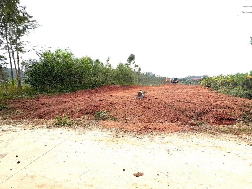 Đất vườn thổ cư 1000m² tại thôn NVH, Quế Võ chỉ 700 triệu - Cơ hội đầu tư hấp dẫn!