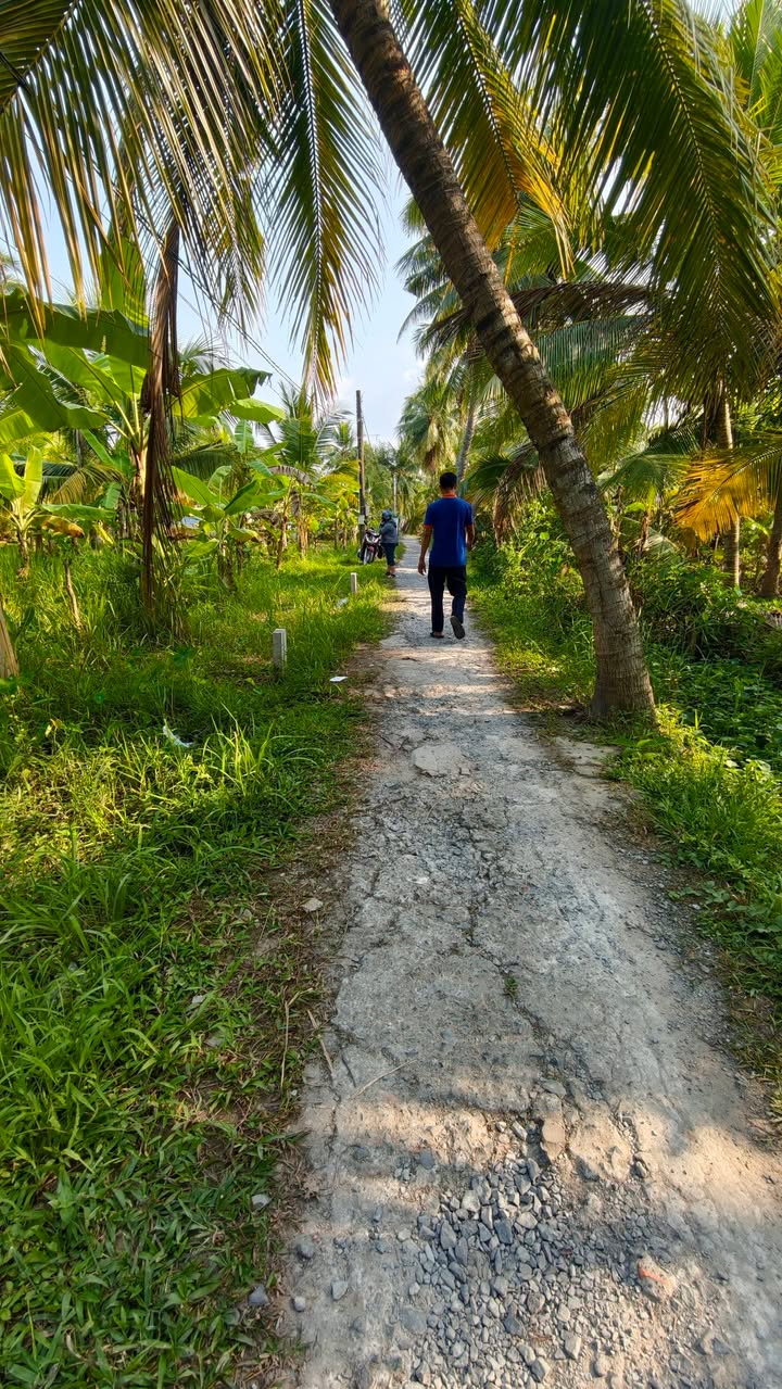 Đất thổ cư 150m² tại đường Nguyễn Chí Thanh, Cần Thơ - Giá 499 triệu