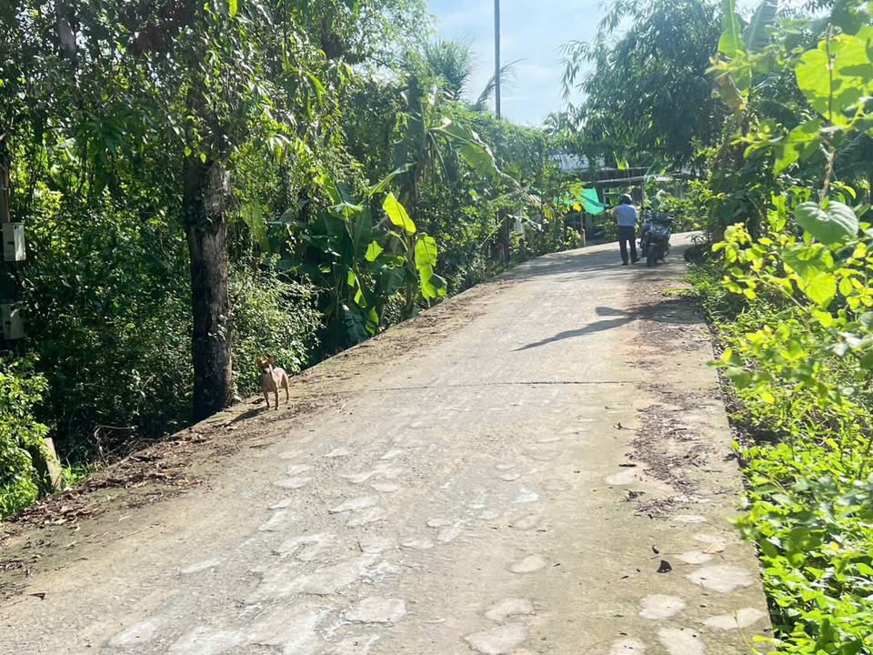 Đất nền Phường Ba Láng 210m² giá 990 triệu - Tiềm năng đầu tư lớn!