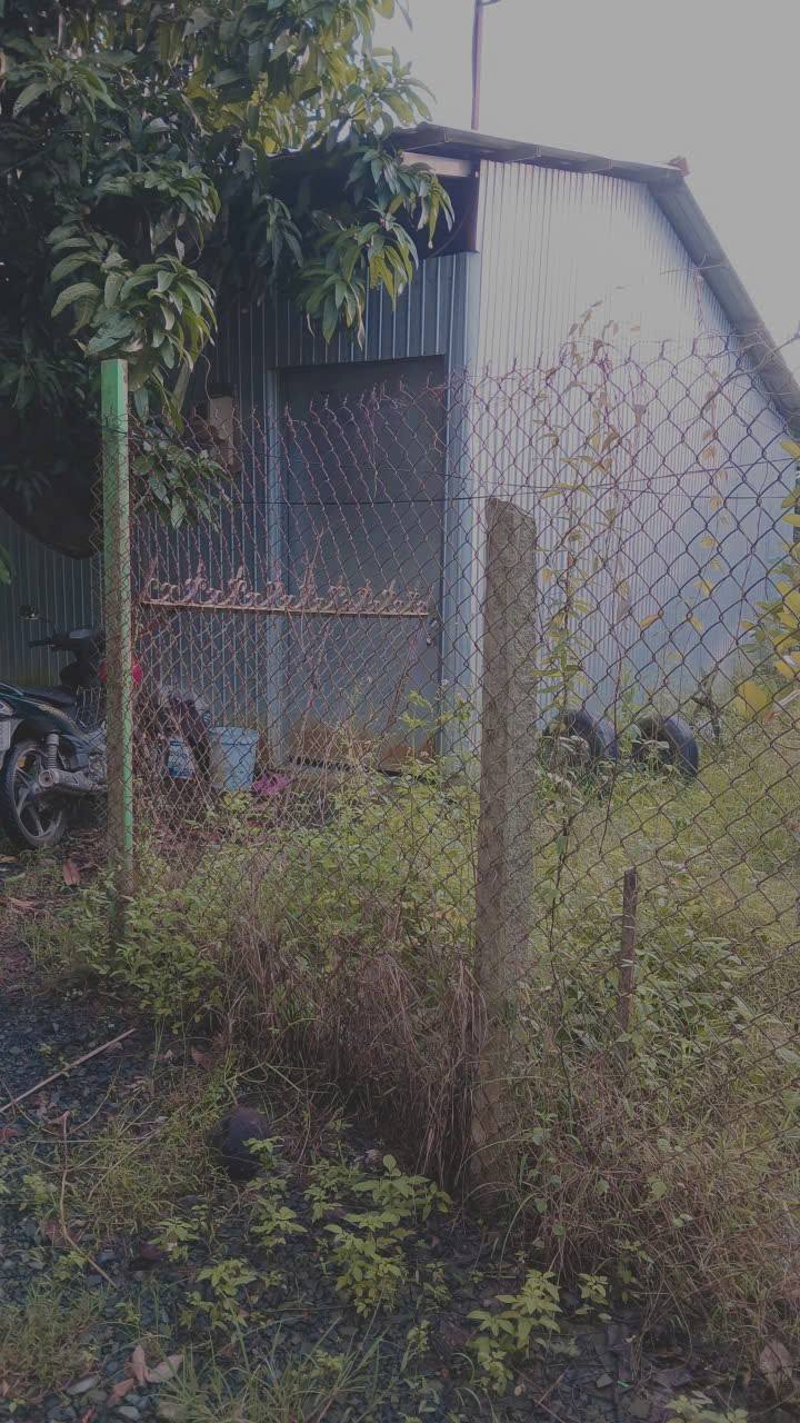 Đất vườn nhãn và mít Thái 8609m² tại Thới Long, giá 450 triệu - Cơ hội đầu tư hấp dẫn!