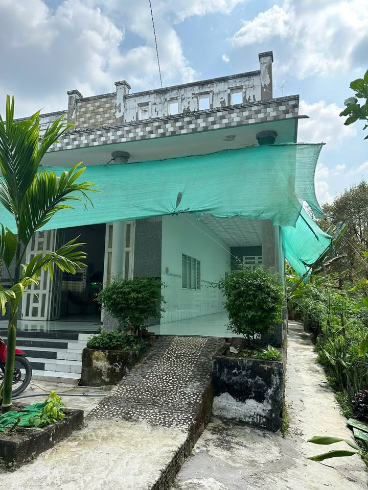 Đất vườn 1.267m² xã Đông Thạnh, Cần Thơ giá 1.6 tỷ - Đầu tư sinh lời!