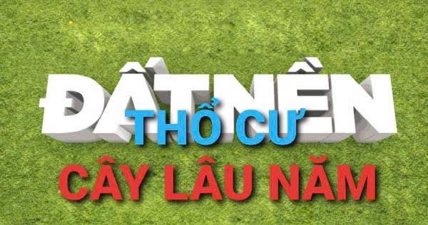 Đất nền mặt tiền lộ nhựa 6m tại Thới Lai 204m² giá 800 triệu - Cơ hội đầu tư tuyệt vời!