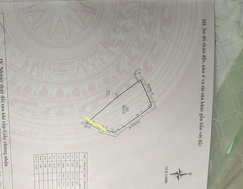 Đất thổ cư 4900m² xã Tân Hội, Đức Trọng giá 6.5 tỷ - Đầu tư sinh lời ngay!