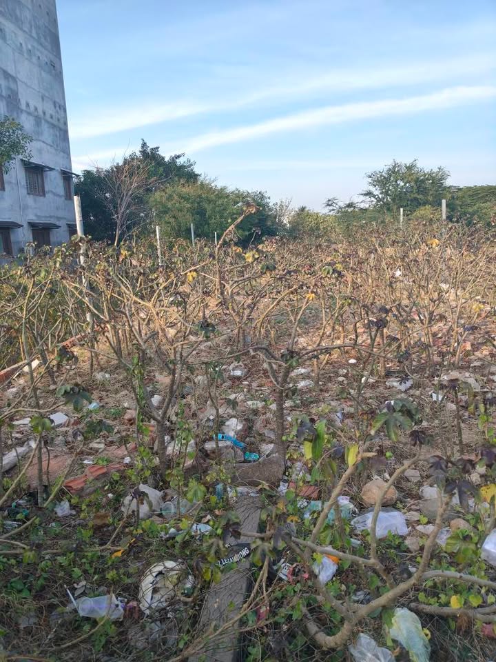 Đất thổ cư Huyện Hàm Thuận Nam 140m² giá thỏa thuận - Mặt đường ô tô tránh!