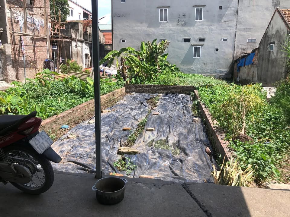 Đất phân lô Đức Thượng Hoài Đức 45m² giá 3.8 tỷ - Sổ đỏ chính chủ, ô tô vào tận nơi!