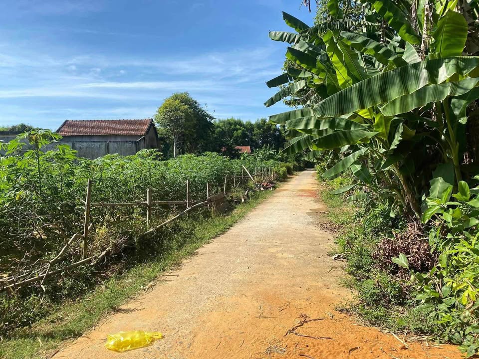 Đất nền Vĩnh Long, Vĩnh Linh 150m² giá 135 triệu - Cơ hội đầu tư tuyệt vời!