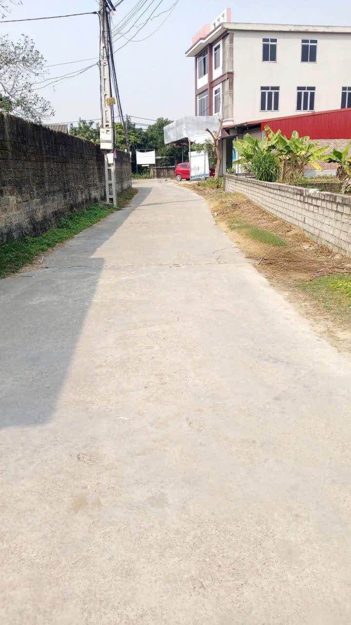 Lô đất 185m² tại Lương Phong, Hiệp Hòa chỉ 1 tỷ - Đường thông thoáng, ô tô tránh!