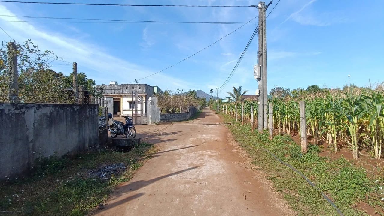 Đất nền chính chủ Xã Biển Hồ 150m² giá thỏa thuận - Tiềm năng đầu tư lớn!