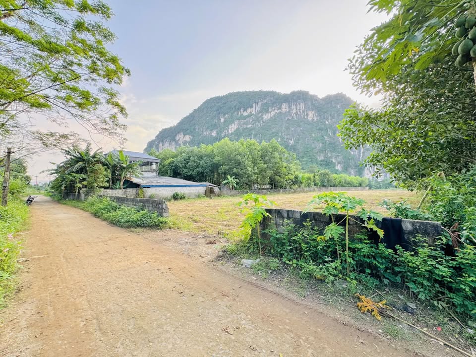 Đất nền nghỉ dưỡng Nam Thượng Kim Bôi 1800m² giá chỉ 2.x triệu/m² - Tiềm năng đầu tư cao!